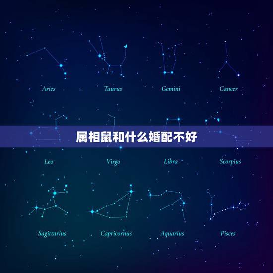 属相鼠和什么婚配不好，1972年属鼠的婚配
