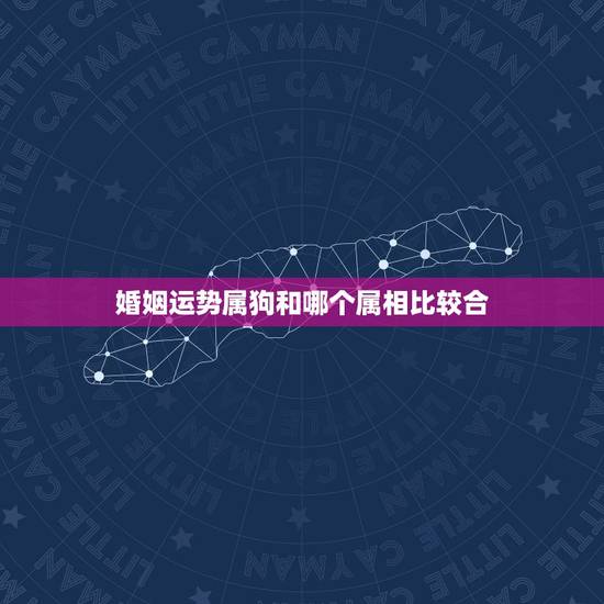 婚姻运势属狗和哪个属相比较合,属狗和什么属相最配 属狗的属相婚配表大全 婚姻运势属狗和哪个属相比较合,属狗和什么属相最配 属狗的属相婚配表大全