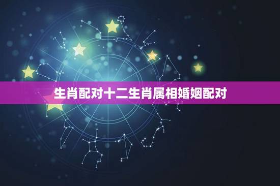 生肖配对十二生肖属相婚姻配对,十二生肖最佳姻缘配对 生肖配对十二生肖属相婚姻配对,十二生肖最佳姻缘配对