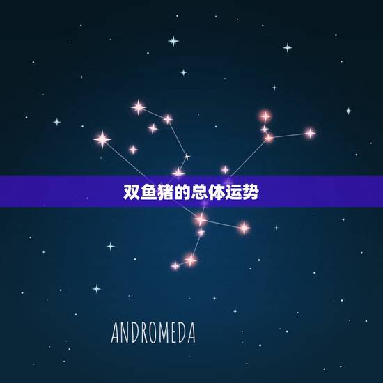 双鱼猪的总体运势，双鱼座2010总体运势
