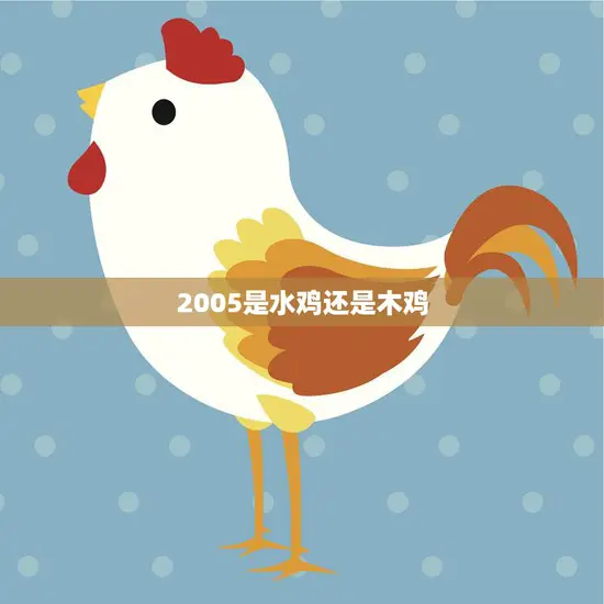 2005是水鸡还是木鸡(揭秘十二生肖中的谜团) 2005是水鸡还是木鸡(揭秘十二生肖中的谜团)