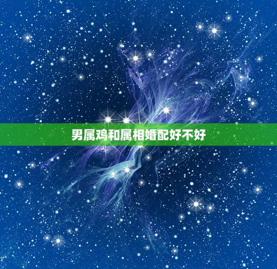 男属鸡和属相婚配好不好,属相婚配:男属鸡和女属鸡相配吗 男属鸡和属相婚配好不好,属相婚配:男属鸡和女属鸡相配吗