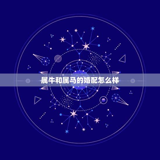 属牛和属马的婚配怎么样，属牛和属马婚配好吗？