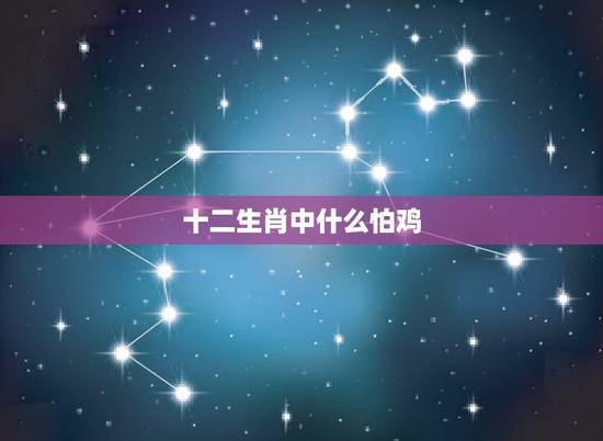 十二生肖中什么怕鸡，十二生肖谁吃鸡