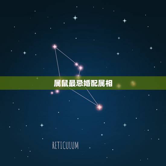 属鼠最忌婚配属相,属鼠的和什么属相最配,属鼠的属相婚配表女,属鼠的属 属鼠最忌婚配属相,属鼠的和什么属相最配,属鼠的属相婚配表女,属鼠的属