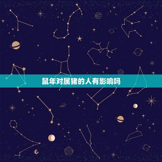 鼠年对属猪的人有影响吗，猪人遇鼠年2022 运势如何