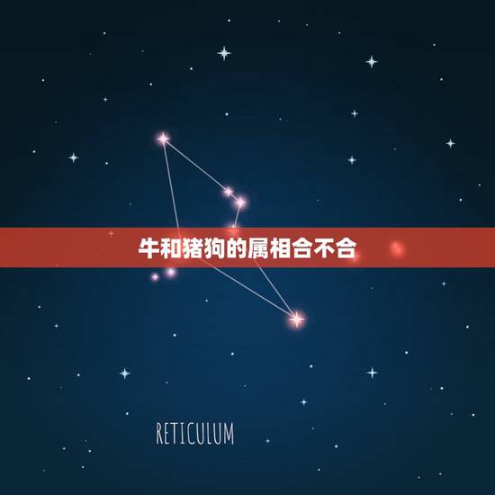 牛和猪狗的属相合不合，属相狗牛不合怎么办