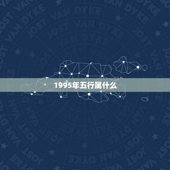 1995年五行属什么，1995年属猪的在五行中属什么？