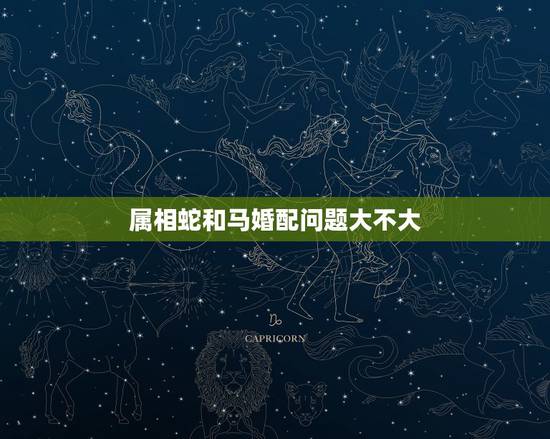 属相蛇和马婚配问题大不大，属蛇和属马的婚配好吗