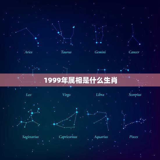 1999年属相是什么生肖,1999年,是属什么生肖年 1999年属相是什么生肖,1999年,是属什么生肖年