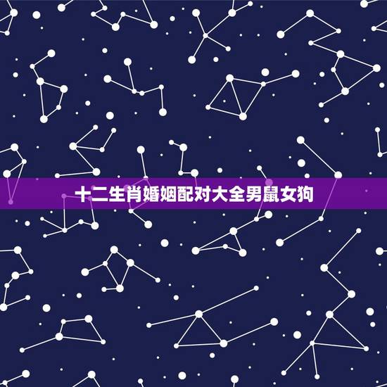 十二生肖婚姻配对大全男鼠女狗，生肖配对属相婚配表十二属相配对吉凶表