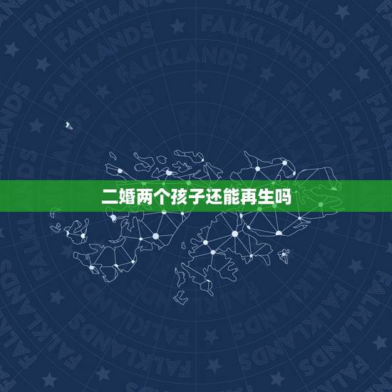 二婚两个孩子还能再生吗，再婚双方各带一个孩子还能再生吗？