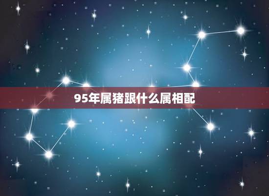 95年属猪跟什么属相配,95年属猪男的和什么属相最配 95年属猪跟什么属相配,95年属猪男的和什么属相最配