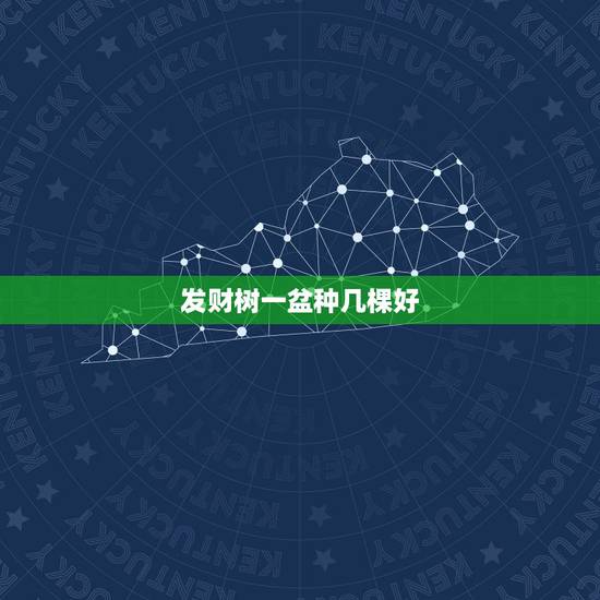 发财树一盆种几棵好，发财树一盆养几棵有什么讲究？