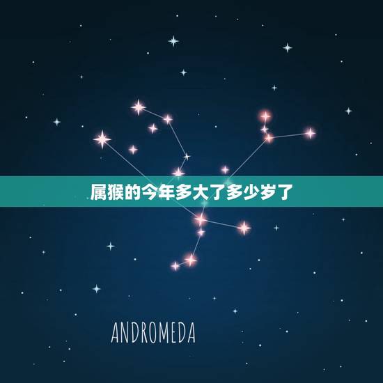 属猴的今年多大了多少岁了,2022 年属猴的今年多少岁 属猴的今年多大了多少岁了,2022 年属猴的今年多少岁