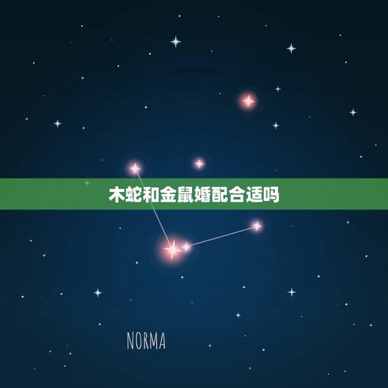 木蛇和金鼠婚配合适吗,女属蛇男属马相配可以吗 木蛇和金鼠婚配合适吗,女属蛇男属马相配可以吗