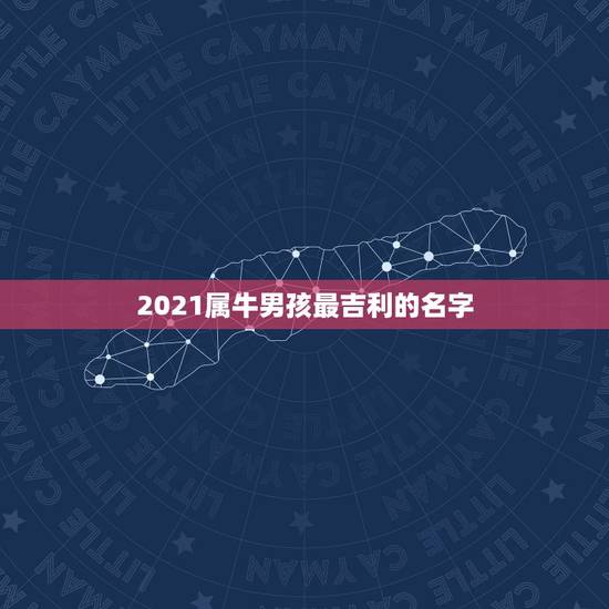 2021属牛男孩最吉利的名字,2021年属牛的男孩叫什么名字 2021属牛男孩最吉利的名字,2021年属牛的男孩叫什么名字