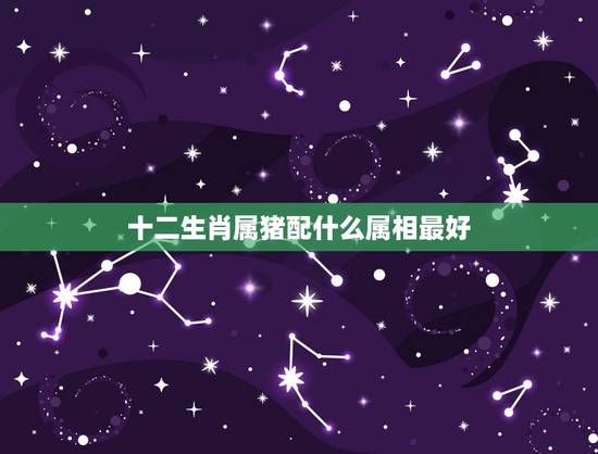 十二生肖属猪配什么属相最好，属猪的和什么属相最配？