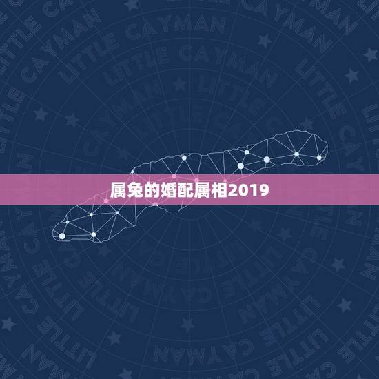 属兔的婚配属相2019,属兔的几月出生最好,属兔的今年多大,属兔和什么 属兔的婚配属相2019,属兔的几月出生最好,属兔的今年多大,属兔和什么