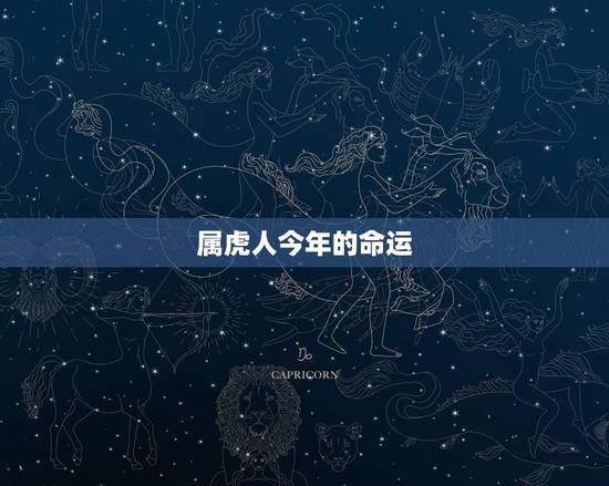 属虎人今年的命运,属虎人的命运 属虎人今年的命运,属虎人的命运