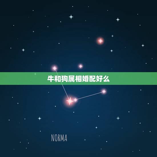 牛和狗属相婚配好么，属牛的好什么属相相配啊？