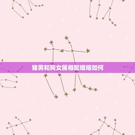 猪男和狗女属相配婚姻如何,94年属狗男与95年属猪女相配吗? 猪男和狗女属相配婚姻如何,94年属狗男与95年属猪女相配吗?