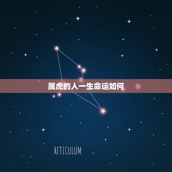 属虎的人一生命运如何,属虎的人11月午时出生好吗 属虎的人一生命运如何,属虎的人11月午时出生好吗