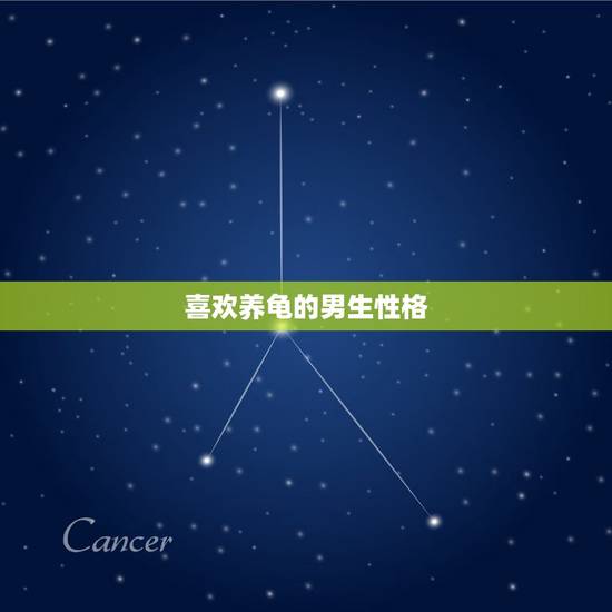 喜欢养龟的男生性格，养乌龟的人什么性格