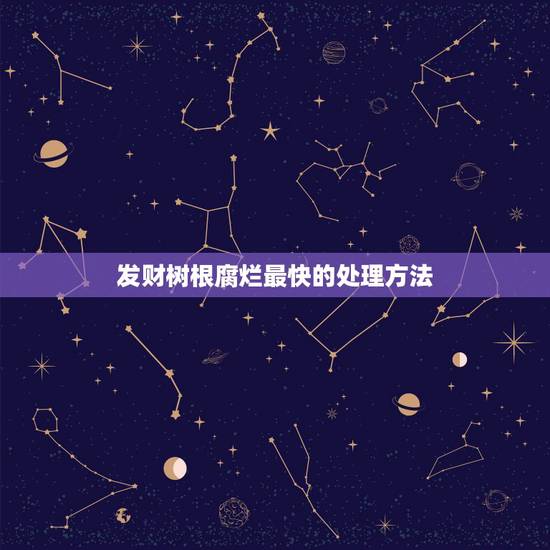发财树根腐烂最快的处理方法，发财树的根茎腐烂和发软如何补救