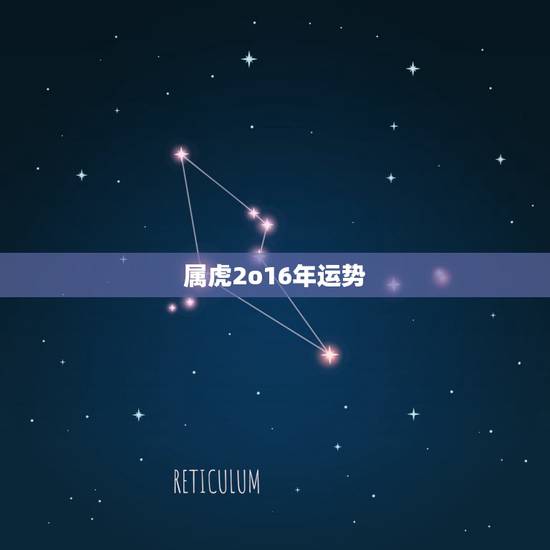 属虎2o16年运势,生肖虎2022 年运势大全 属虎2o16年运势,生肖虎2022 年运势大全