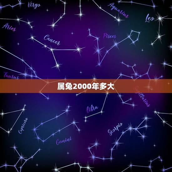 属兔2000年多大,1999年属兔多大结婚好 属兔2000年多大,1999年属兔多大结婚好