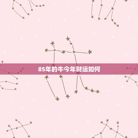 85年的牛今年财运如何，85年属牛人最穷不过36岁