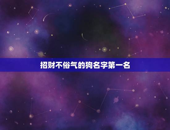 招财不俗气的狗名字第一名，洋气不俗气的狗名有哪些？