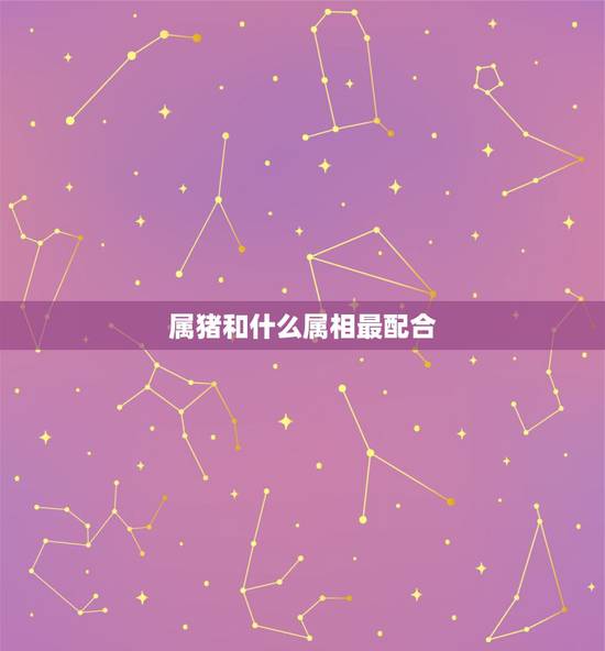 属猪和什么属相最配合，猪和什么属相最配