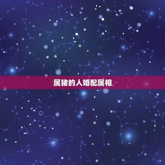 属猪的人婚配属相 属猪的人婚配属相