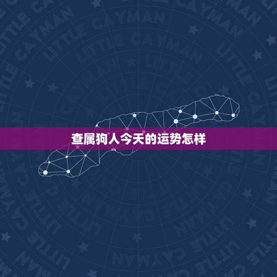 查属狗人今天的运势怎样，属狗今年每月运势如何
