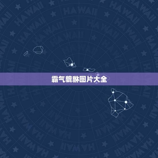 霸气貔貅图片大全,貔貅摆件怎么摆放图片大全 霸气貔貅图片大全,貔貅摆件怎么摆放图片大全