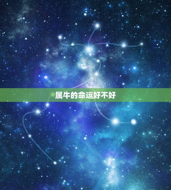属牛的命运好不好，属牛的人命苦
