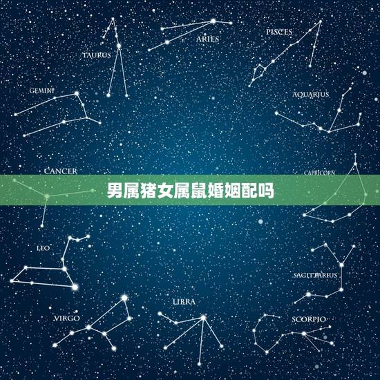 男属猪女属鼠婚姻配吗,女属马和男属猪的婚姻 男属猪女属鼠婚姻配吗,女属马和男属猪的婚姻