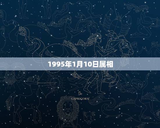 1995年1月10日属相，求答，1995年1月10号，是属什么属像的