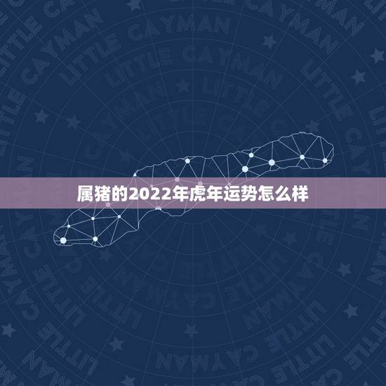 属猪的2022年虎年运势怎么样,71年属猪49和50岁命运 属猪的2022年虎年运势怎么样,71年属猪49和50岁命运