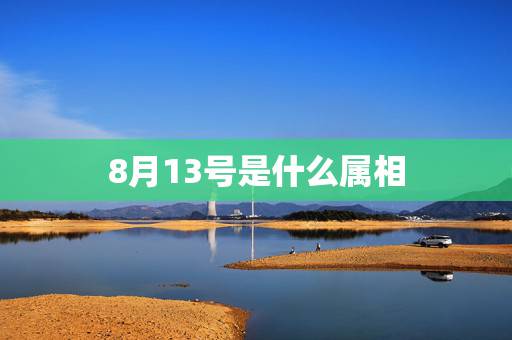 8月13号是什么属相，2013年8月13日的生肖属相