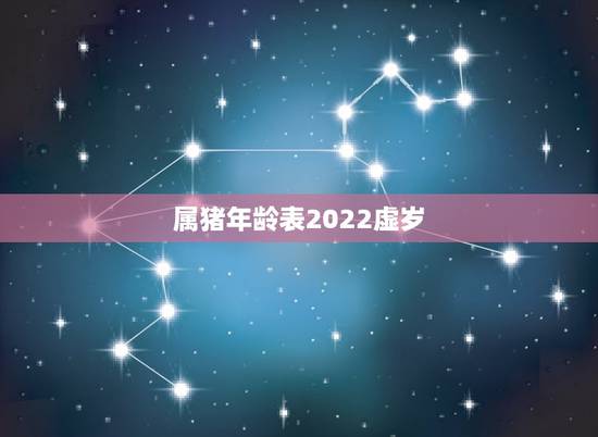 属猪年龄表2022虚岁，年份生肖配对表2022