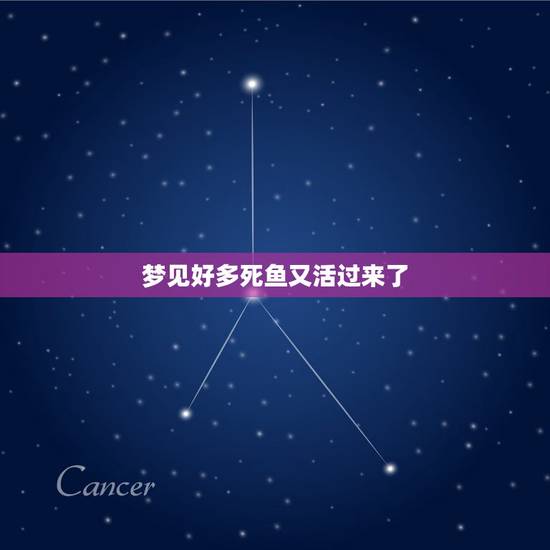 梦见好多死鱼又活过来了，梦见很多死鱼突然有一条鱼活了