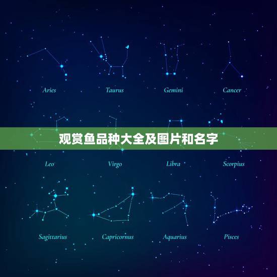 观赏鱼品种大全及图片和名字,什么品种观赏鱼好养 观赏鱼品种大全及图片和名字,什么品种观赏鱼好养
