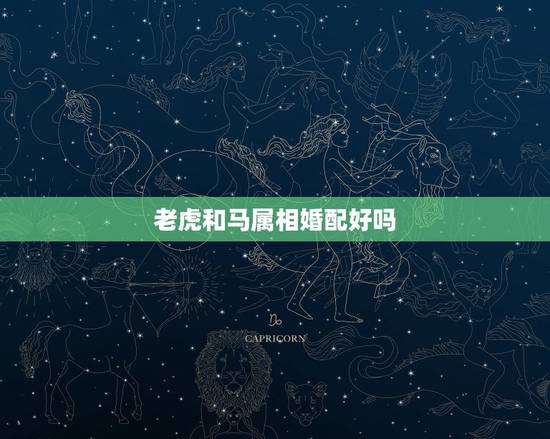 老虎和马属相婚配好吗,属虎和属马相配吗 老虎和马属相婚配好吗,属虎和属马相配吗