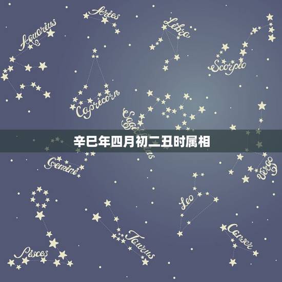辛巳年四月初二丑时属相,算命女,1980年四月初二,丑时 辛巳年四月初二丑时属相,算命女,1980年四月初二,丑时