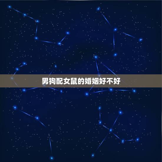 男狗配女鼠的婚姻好不好，男狗女鼠是好婚姻吗
