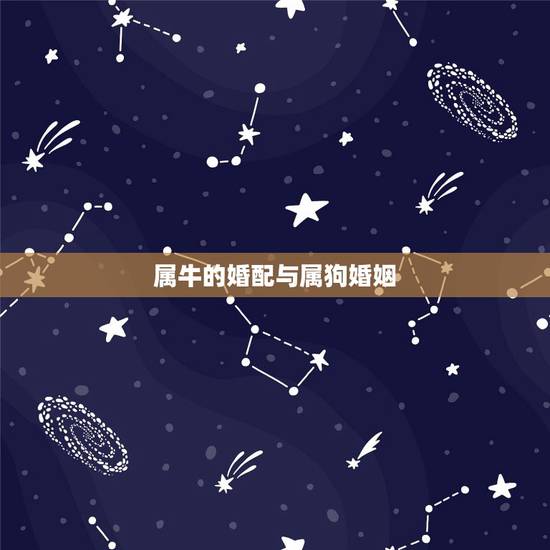属牛的婚配与属狗婚姻，属牛女与属狗男是否适宜婚配
