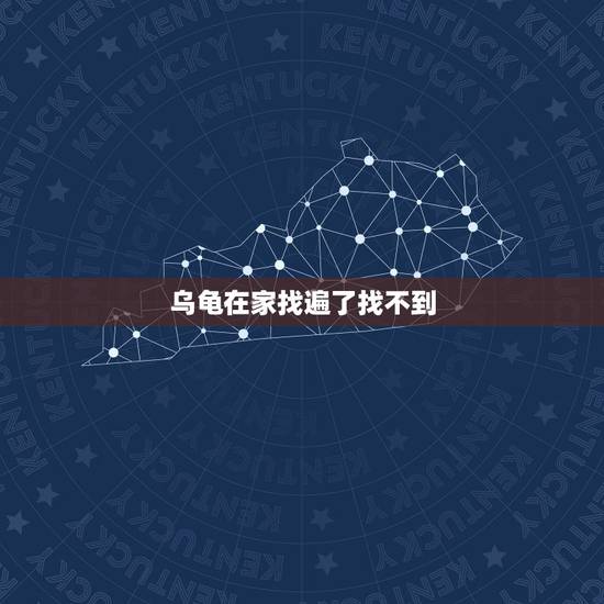 乌龟在家找遍了找不到,我家的小乌龟昨天放在客厅里,突然找不到了.家里都 乌龟在家找遍了找不到,我家的小乌龟昨天放在客厅里,突然找不到了.家里都